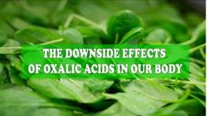 Read more about the article Protected: INTRODUCTION TO OXALATES AWARENESS