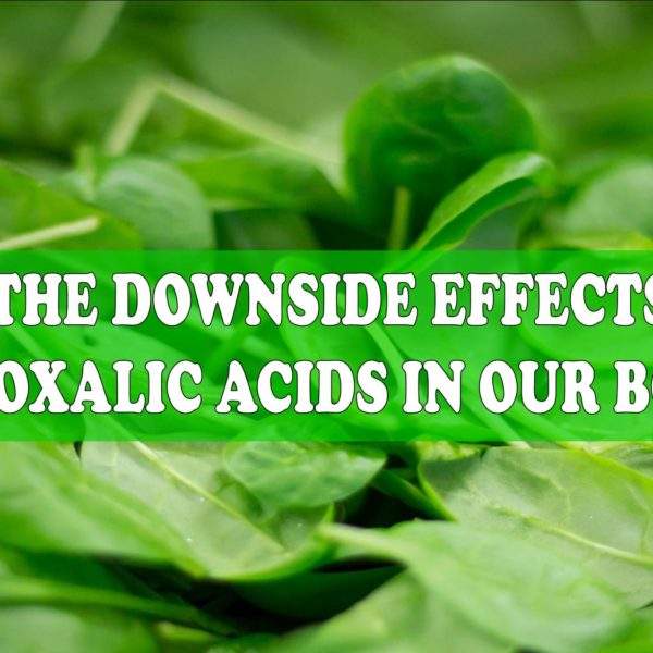 Protected: INTRODUCTION TO OXALATES AWARENESS