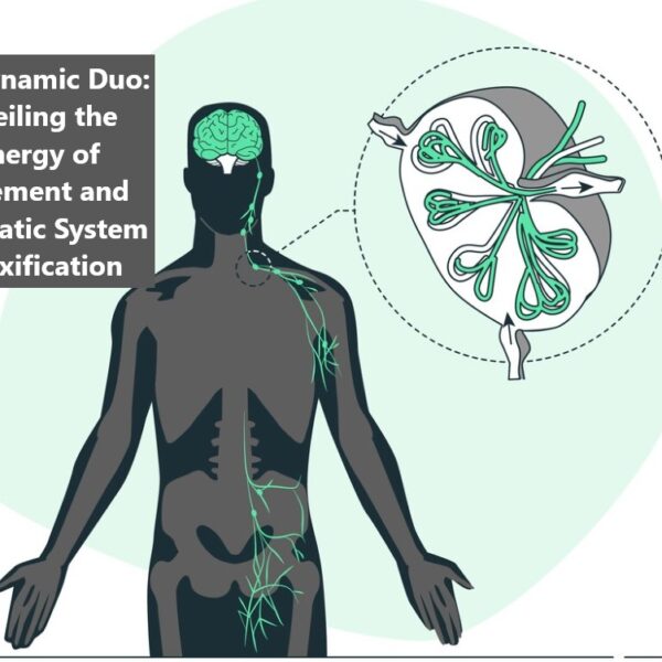 The Dynamic Duo: Unveiling the Synergy of Movement and Lymphatic System Detoxification