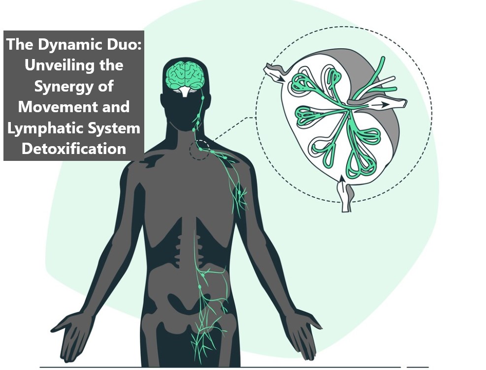 The Dynamic Duo: Unveiling the Synergy of Movement and Lymphatic System Detoxification